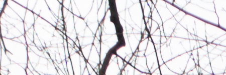 Canon PowerShot G1 X Mark II: významné zlepšení