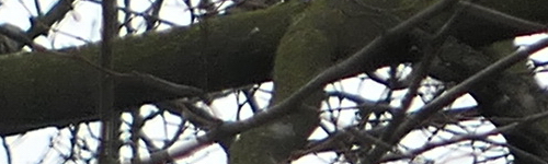 Panasonic Lumix LX15: noční borec