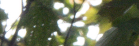 Panasonic Lumix FZ300: opět na špici