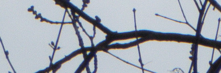 Panasonic Lumix TZ70: krůček k profi ultrazoomu