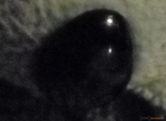 Fotíme s Koalou: Rozlišení a megapixely!