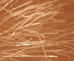 Canon EOS 500D: povedený pokračovatel rodu