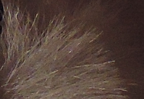 Nikon Coolpix P330: do vyšších sfér