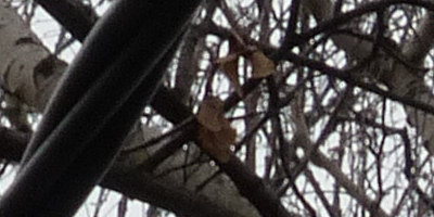 Panasonic Lumix FZ200: ultrazoomové překvapení roku