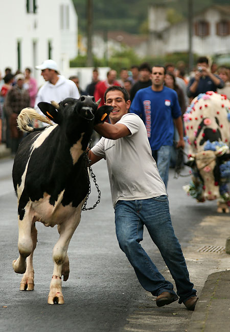 Azorské ostrovy – svátek fotografie: II.