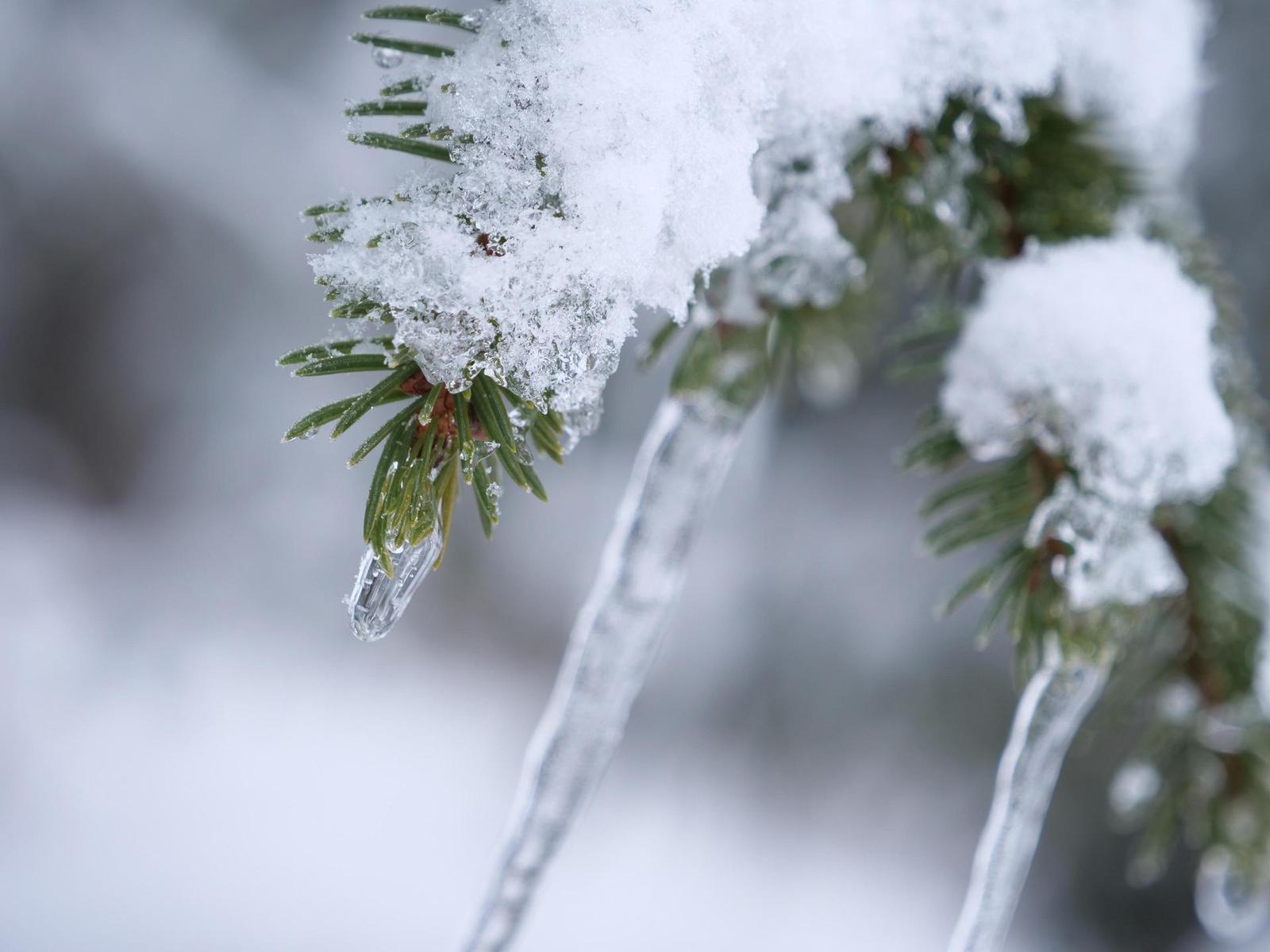 Panasonic Lumix G9: skutečně výborný