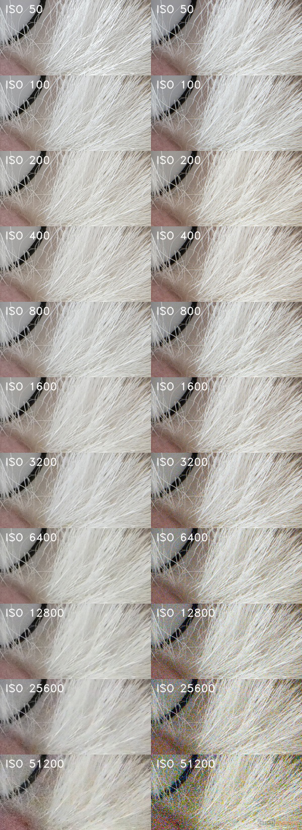 Panasonic Lumix S1R: sebevědomý vstup do FF