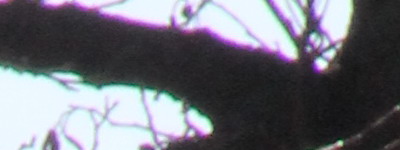 Megatest ultrazoomových objektivů