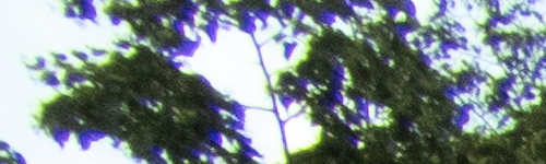 Nikon Coolpix B700: přírodovědec