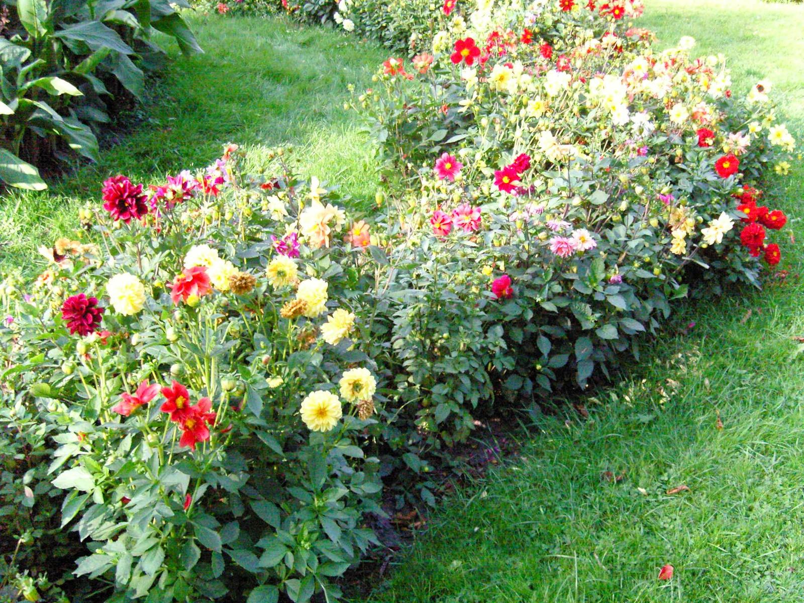 Samsung NV10: Pěkně zabalených deset milionů