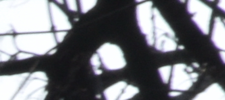 Nikon AF-S DX NIKKOR 16-85mm f/3.5-5.6G ED VR