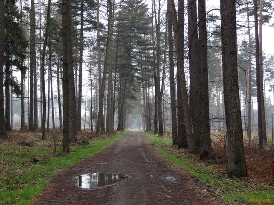 Sony Cyber-shot HX20V: umí snad všechno