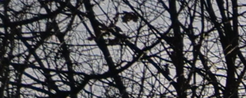 Panasonic Leica DG Vario-Summilux 10-25mm F1.7 ASPH.