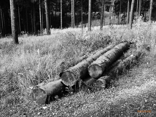 Panasonic Lumix FZ28: o krok blíže dokonalosti