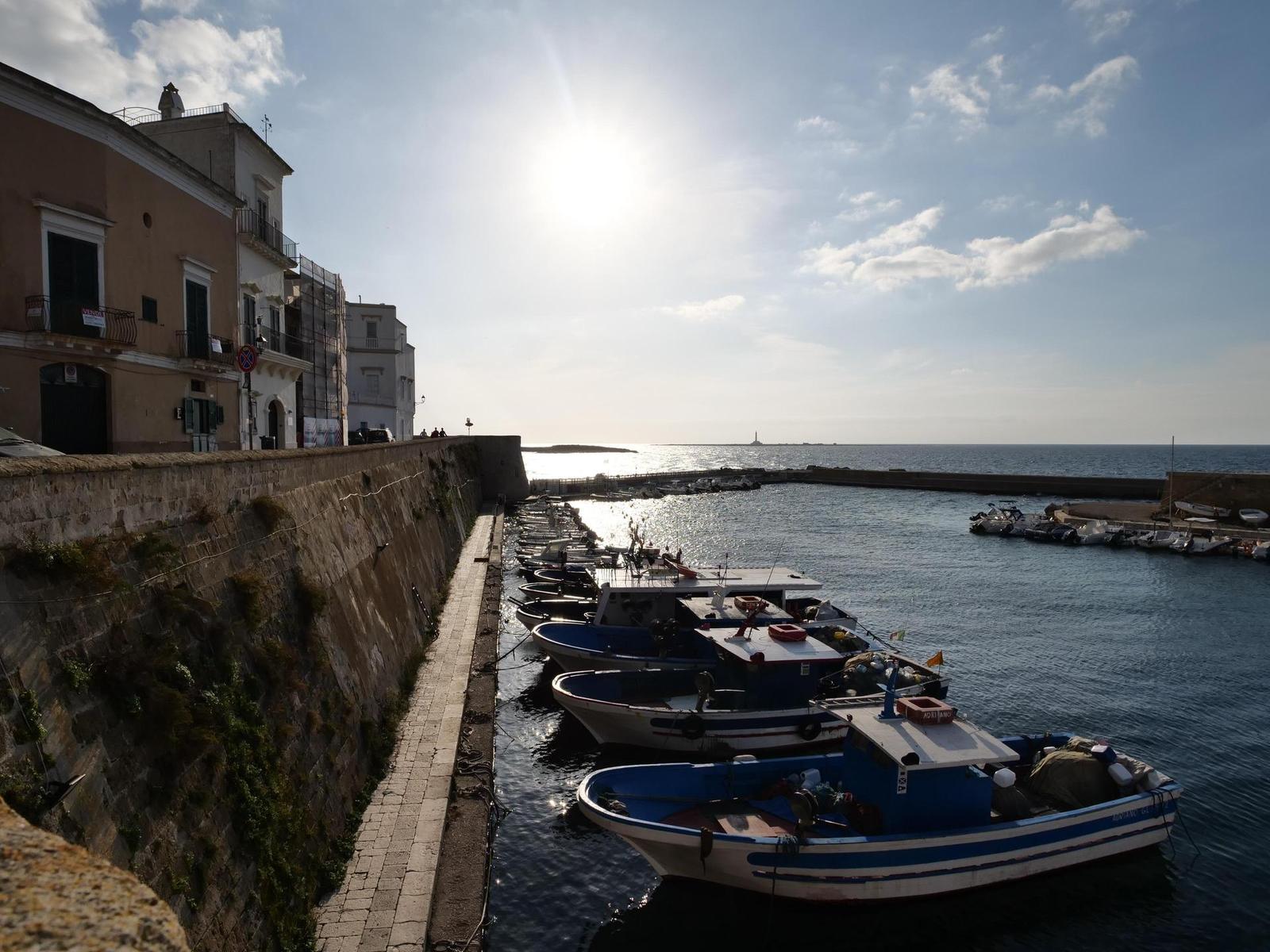 Panasonic Leica DG Vario-Summilux 10-25mm F1.7 ASPH.