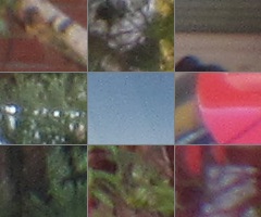 Canon PowerShot SX30 IS: sebevědomý rekordman