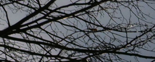 Panasonic Leica DG Vario-Summilux 25-50mm F1.7 ASPH.