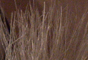 Samsung NX20: za více peněz více muziky