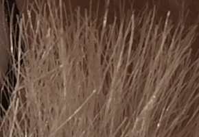 Samsung NX1000: sněhobílý bezdrát