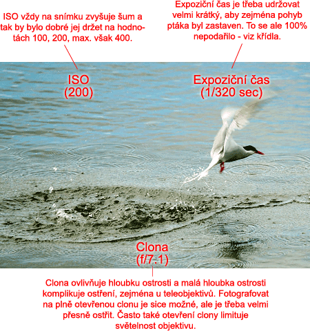 DSLR na cestě časem - 13. díl