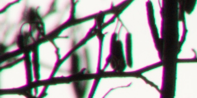 Nikon AF-S NIKKOR DX 55-300mm 1:4.5-5.6G ED VR