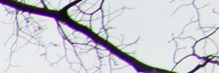 Canon PowerShot G1 X Mark II: významné zlepšení