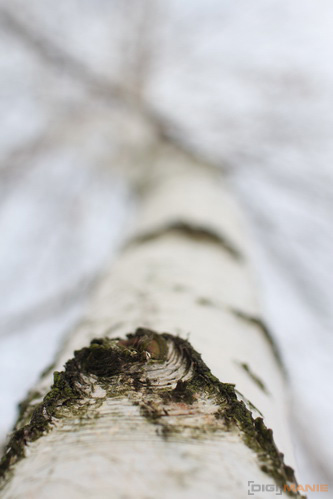 Canon EOS 60D: na pomezí dvou světů