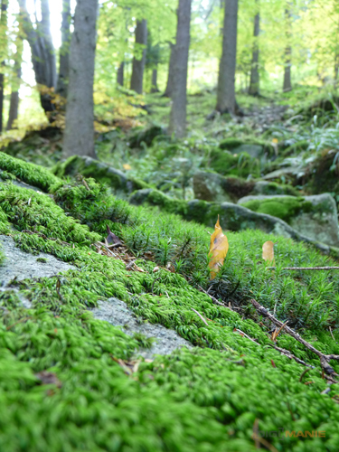 Panasonic Lumix FZ28: o krok blíže dokonalosti