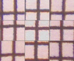 Fujifilm FinePix HS20EXR: důstojný nástupce