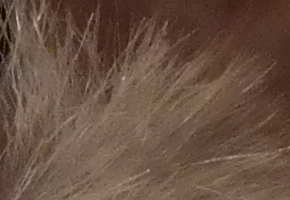 Samsung NX300: spousta kroků vpřed, jeden vzad