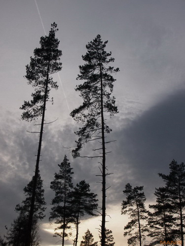 Olympus PEN E-P3: král všech PENů