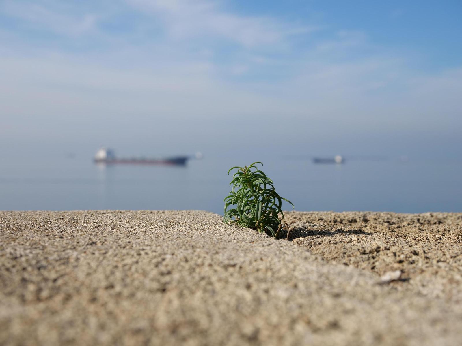 Panasonic Lumix GH5 II: nejen pro vloggery