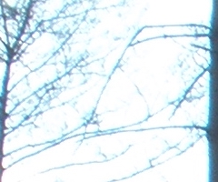 Olympus FE-370: stabilní zoom za hubičku