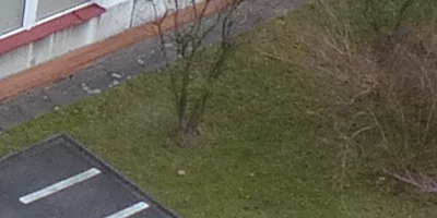 Panasonic Lumix FZ200: ultrazoomové překvapení roku