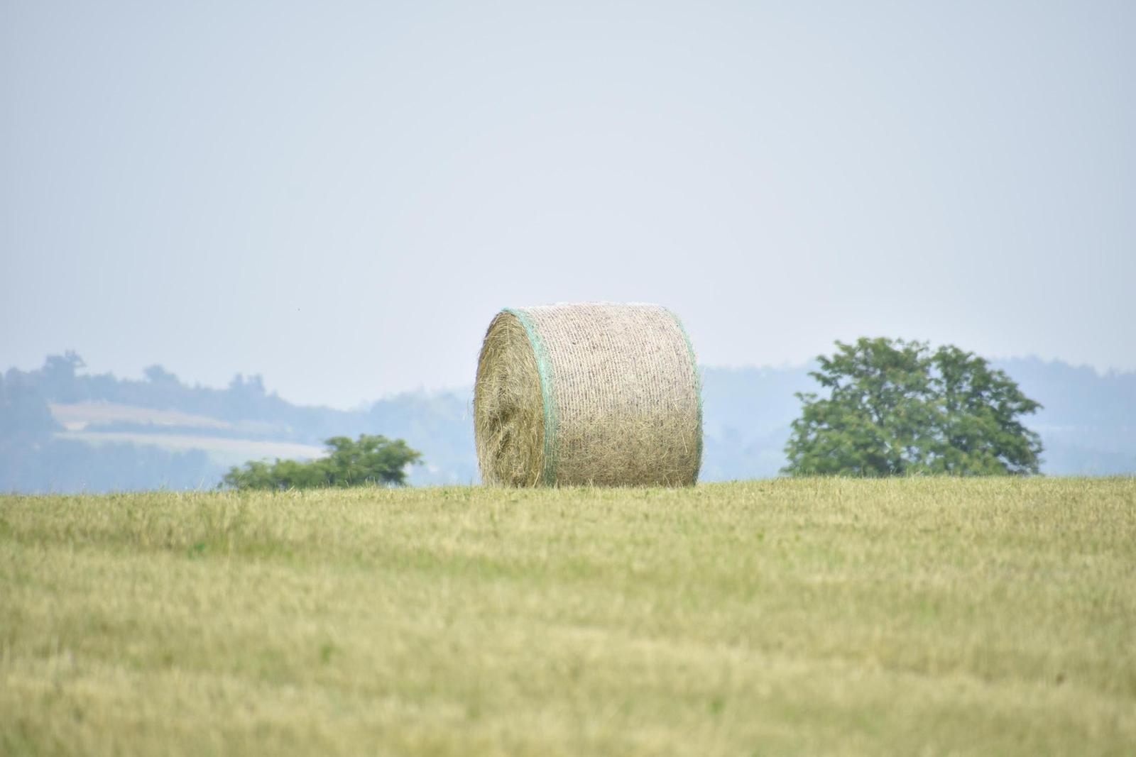 Tamron 16-300mm f/3.5-6.3 Di II VC PZD Macro