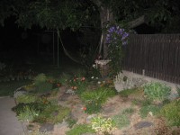 Canon PowerShot A540: Stříbrný šikula