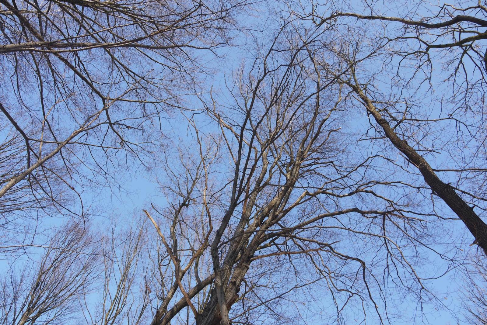 Panasonic Lumix G1: jde to i bez zrcadla!