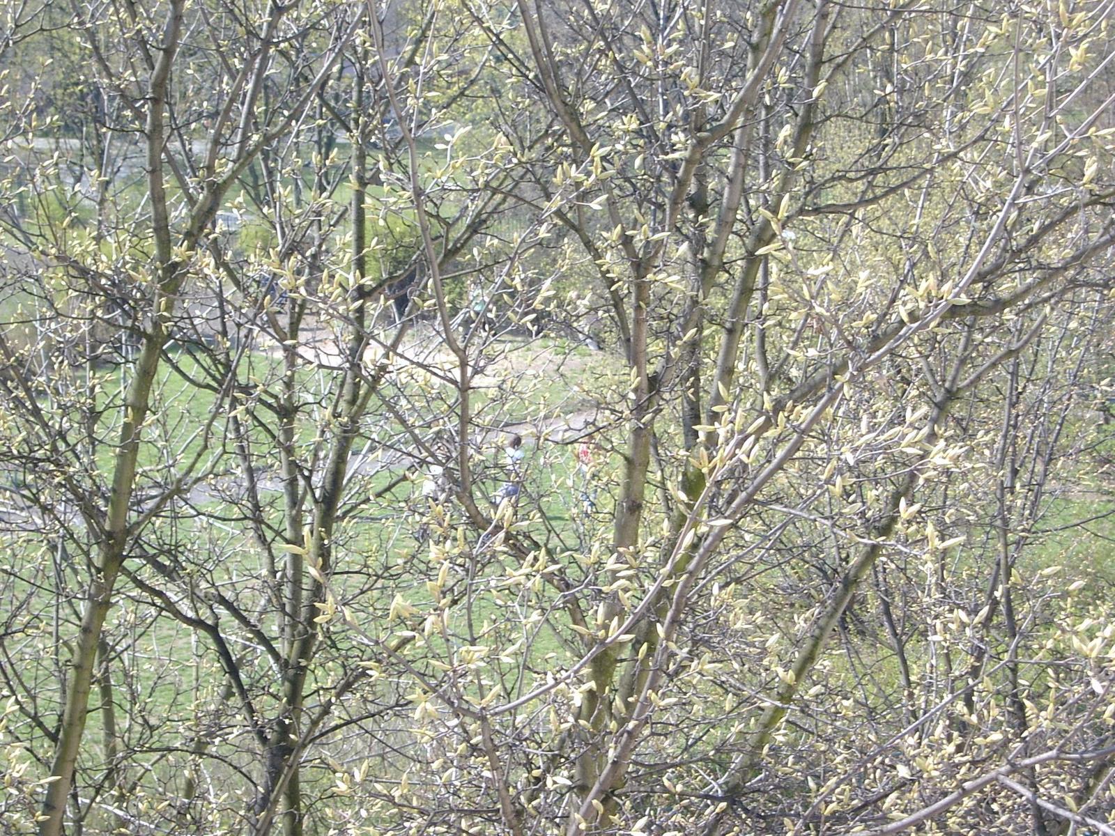 Samsung Digimax V4: Prožene svoji konkurenci!