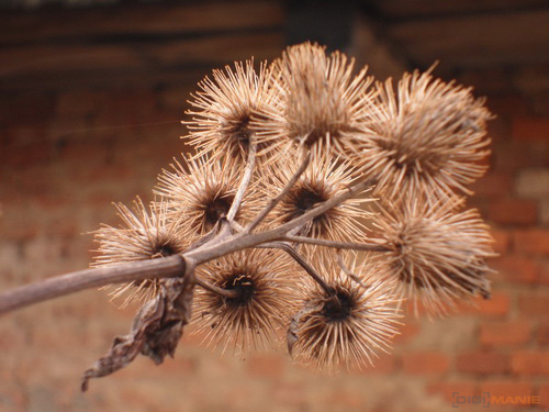 Samsung ST550: jedno LCD nestačí