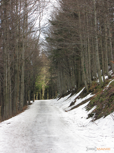 Canon PowerShot SX1 IS vs. SX10 IS: souboj CMOS a CCD