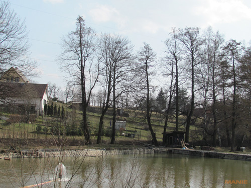 Canon PowerShot SX120 IS: zraje jako víno