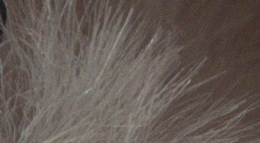 Sony Cyber-shot RX100 III (RX100M3): superSony