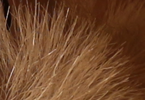 Canon EOS M: první pokus