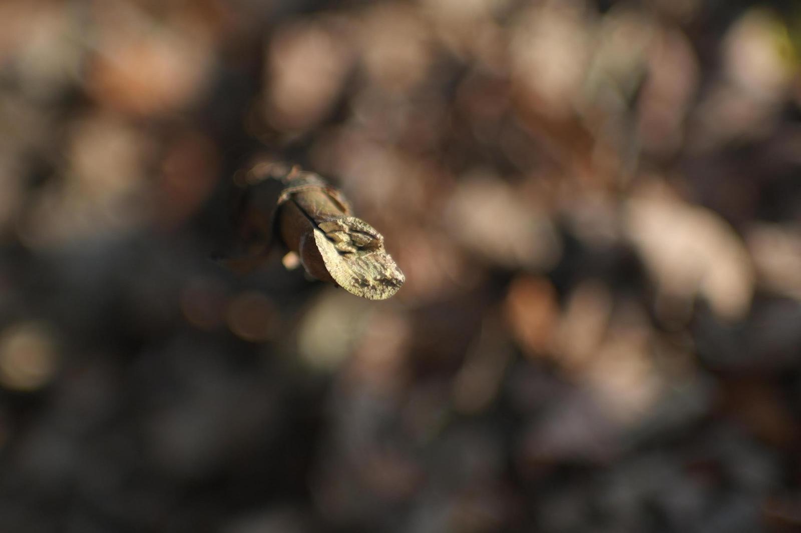 Jupiter-9 85mm F2.0 (M39)