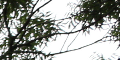 Canon EF-S 18-55mm F3,5-5,6 IS STM