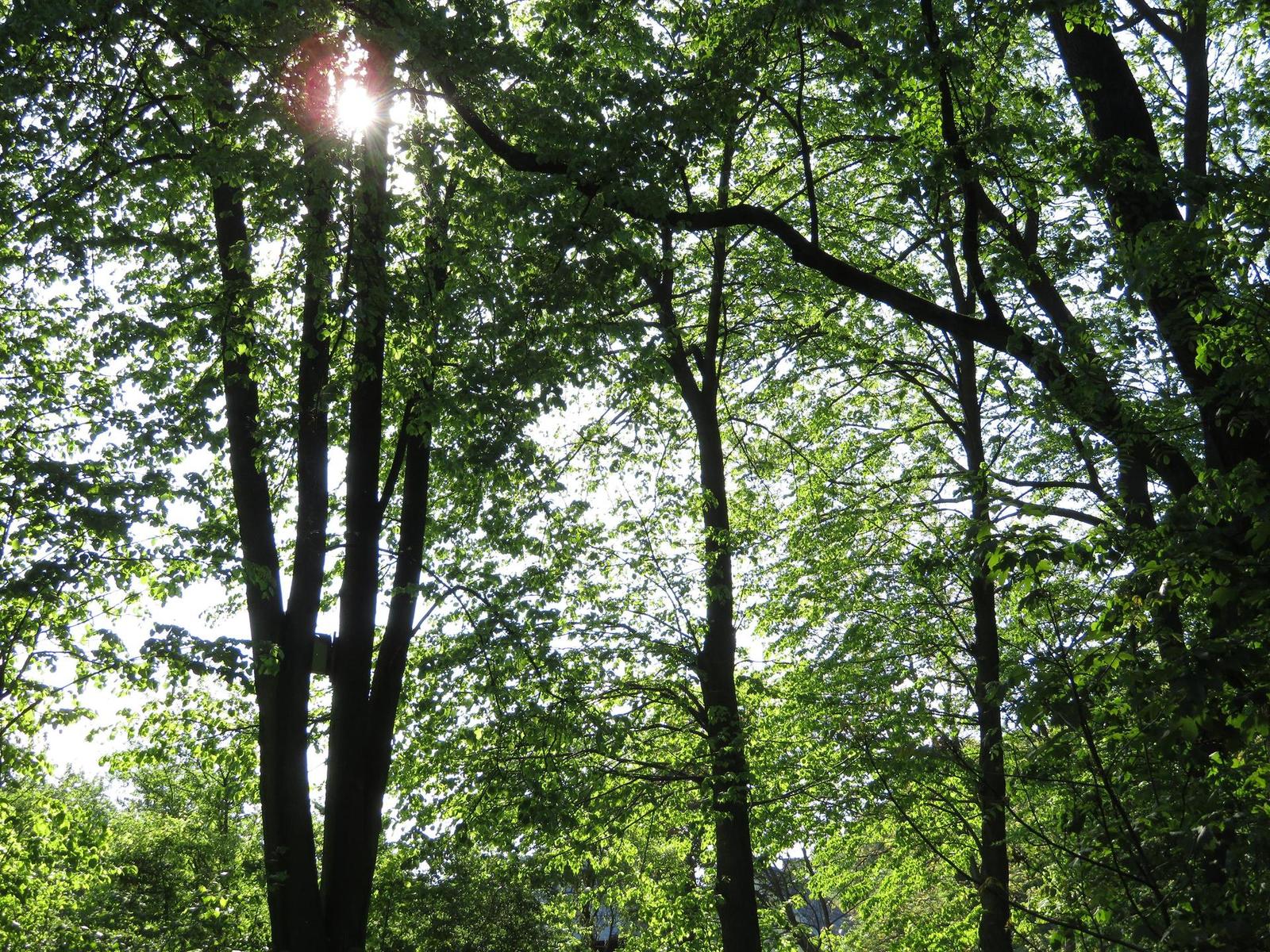 Canon PowerShot SX720 HS: kapesní šmírování