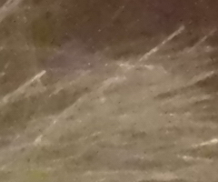 Nikon Coolpix S1100pj: kino v kompaktu