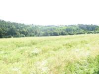 Canon PowerShot A540: Stříbrný šikula