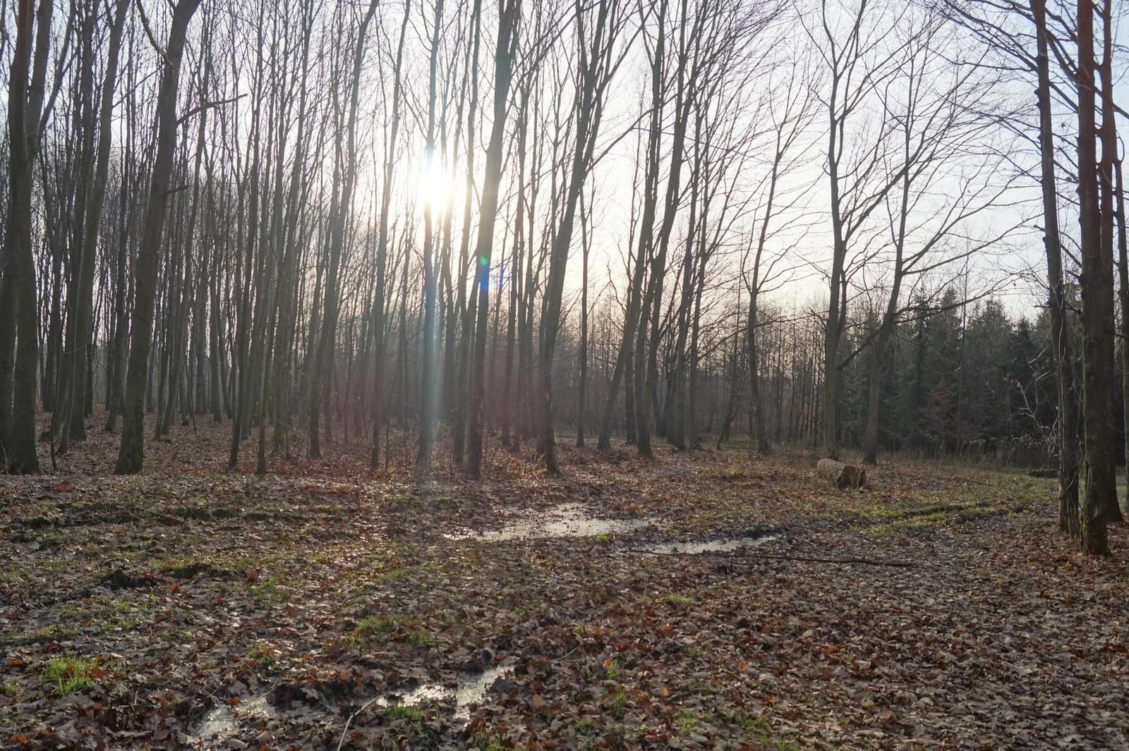 Sony SLT-A58: silný základ