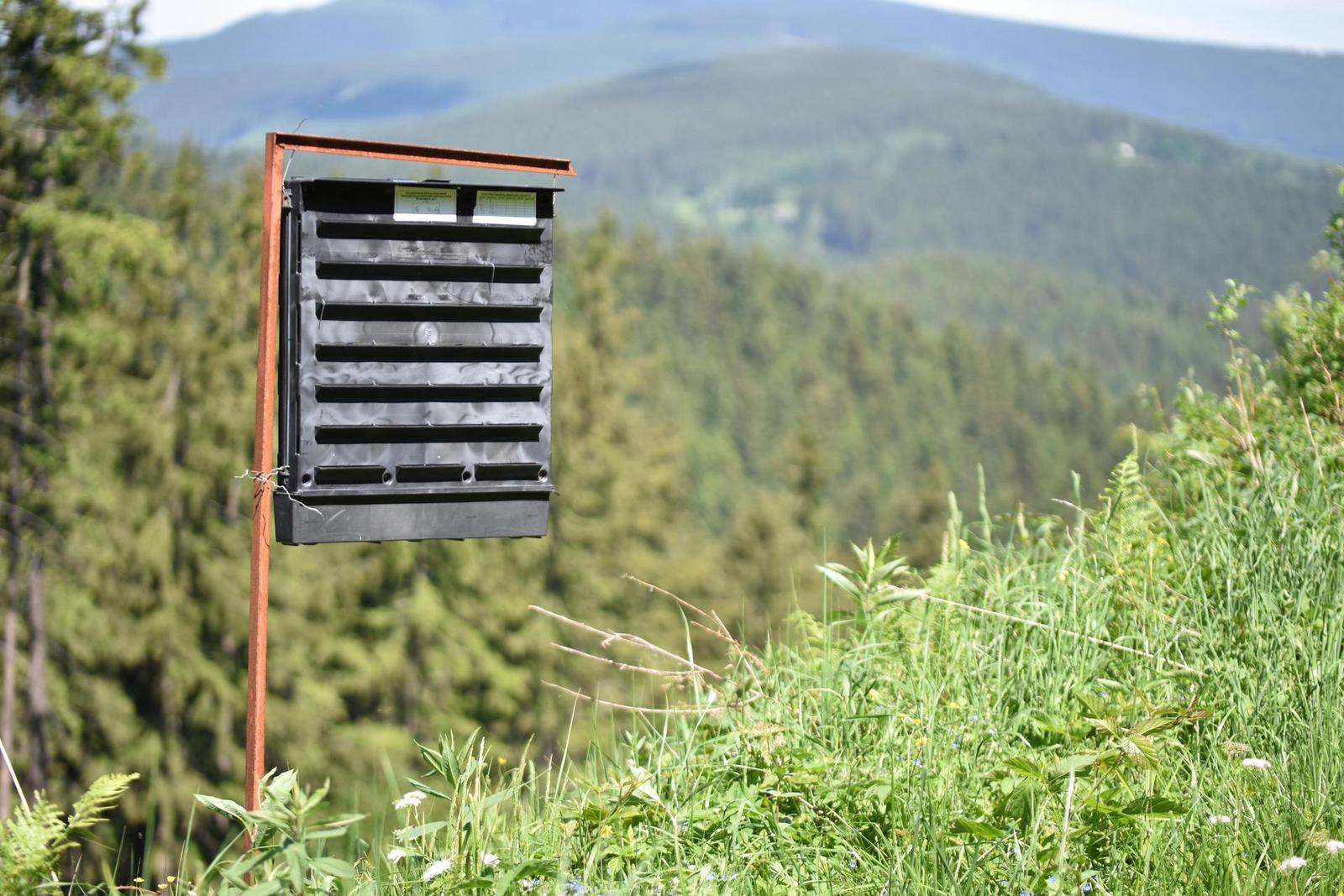 Tamron SP AF 60mm f/2.0 Di II LD [IF] Macro